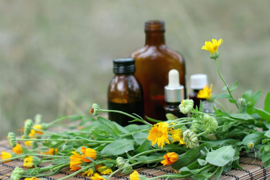 celandine for nail fungus