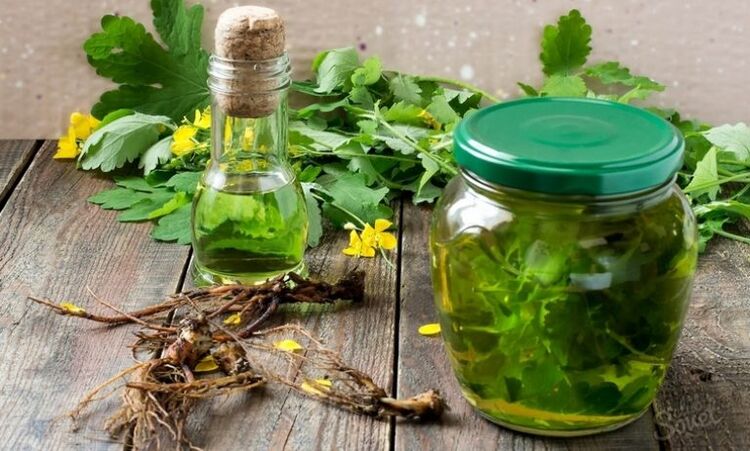 Celandine tincture for nail fungus